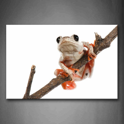 Tree Frog Climb On Dry Branch Wall Art Painting The Picture Print On Canvas Animal Pictures For Home Decor Decoration Gift 