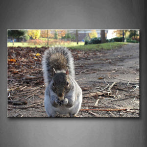 Squirrel Eating Food On Road Dry Leafs Wall Art Painting The Picture Print On Canvas Animal Pictures For Home Decor Decoration Gift 