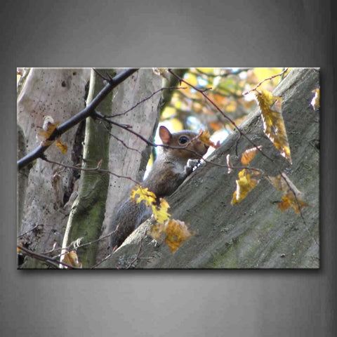 Squirrel Climb On Tree Autumn Wall Art Painting Pictures Print On Canvas Animal The Picture For Home Modern Decoration 