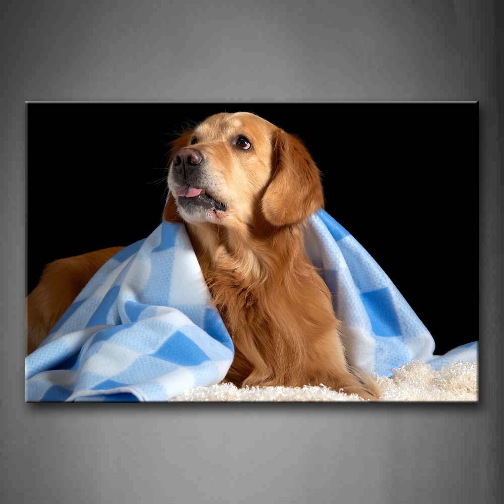 Golden Retriever Lie On Blanket And A Cloth Cover Body Wall Art Painting Pictures Print On Canvas Animal The Picture For Home Modern Decoration 