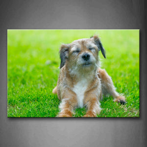 Dog Bend Over On Lawn Squint Wall Art Painting The Picture Print On Canvas Animal Pictures For Home Decor Decoration Gift 