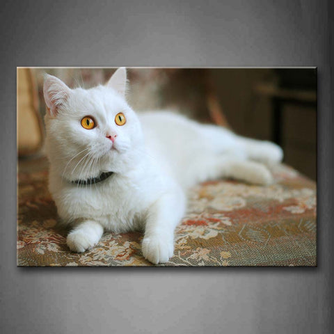 White Cat Lie On Sofa Wall Art Painting Pictures Print On Canvas Animal The Picture For Home Modern Decoration 