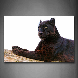 Black Panther Lie On Dry Wood Wall Art Painting The Picture Print On Canvas Animal Pictures For Home Decor Decoration Gift 