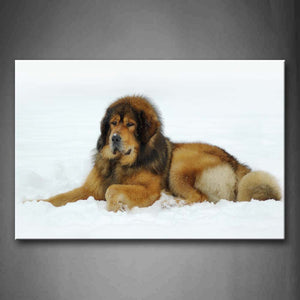 Yellow Dog Lie On Snowfield Wall Art Painting The Picture Print On Canvas Animal Pictures For Home Decor Decoration Gift 