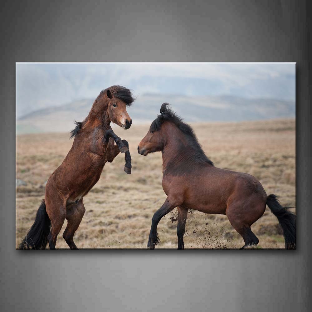 Two Brown Horse Play Together On Grassland Wall Art Painting Pictures Print On Canvas Animal The Picture For Home Modern Decoration 