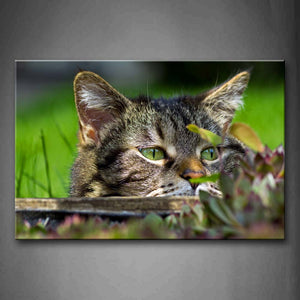 Gray Cat  Grass Plant Wall Art Painting The Picture Print On Canvas Animal Pictures For Home Decor Decoration Gift 