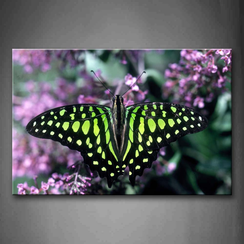 Green And Black Butterfly Stop On Pink Flower Wall Art Painting The Picture Print On Canvas Animal Pictures For Home Decor Decoration Gift 