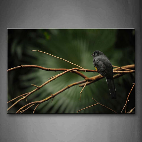 Black Bird Stop On Branch Wall Art Painting Pictures Print On Canvas Animal The Picture For Home Modern Decoration 