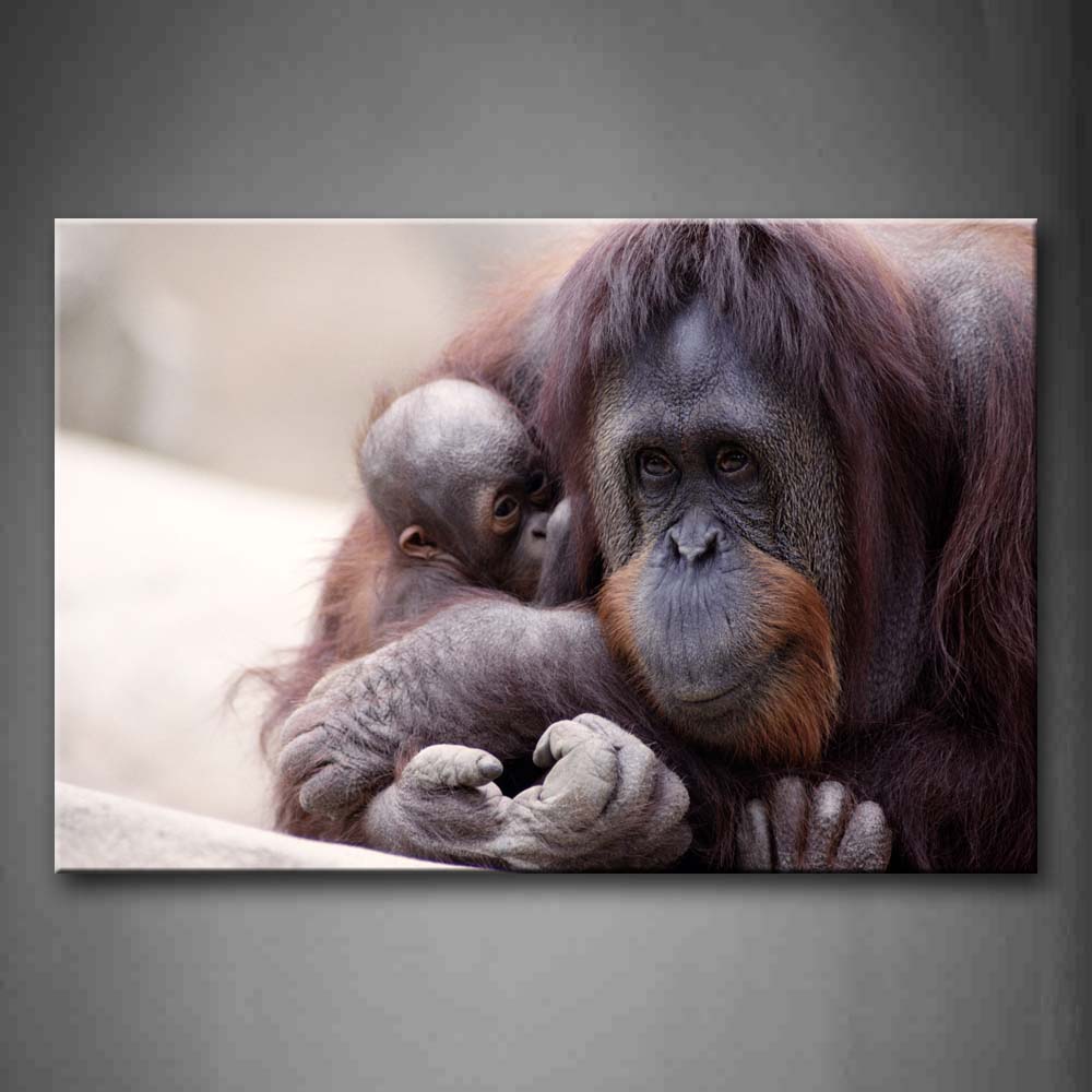 Mother Orangutan With Cub Wall Art Painting The Picture Print On Canvas Animal Pictures For Home Decor Decoration Gift 