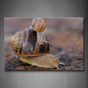 Small Snail Crawl On Big Snail'S Body Wall Art Painting The Picture Print On Canvas Animal Pictures For Home Decor Decoration Gift 