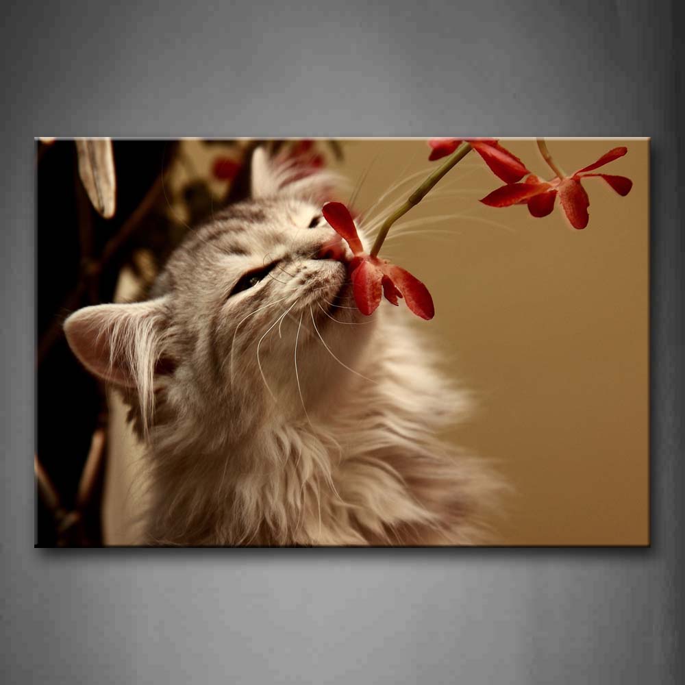 Cute Cat Smell Red Flower Wall Art Painting Pictures Print On Canvas Animal The Picture For Home Modern Decoration 