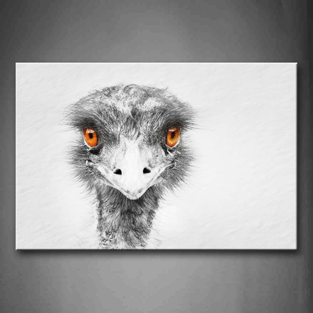 Emu Head Portrait Wall Art Painting The Picture Print On Canvas Animal Pictures For Home Decor Decoration Gift 