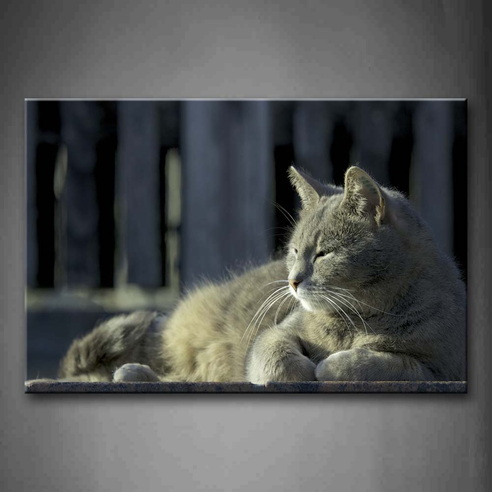 Gray Cat Have A Rest Wall Art Painting The Picture Print On Canvas Animal Pictures For Home Decor Decoration Gift 