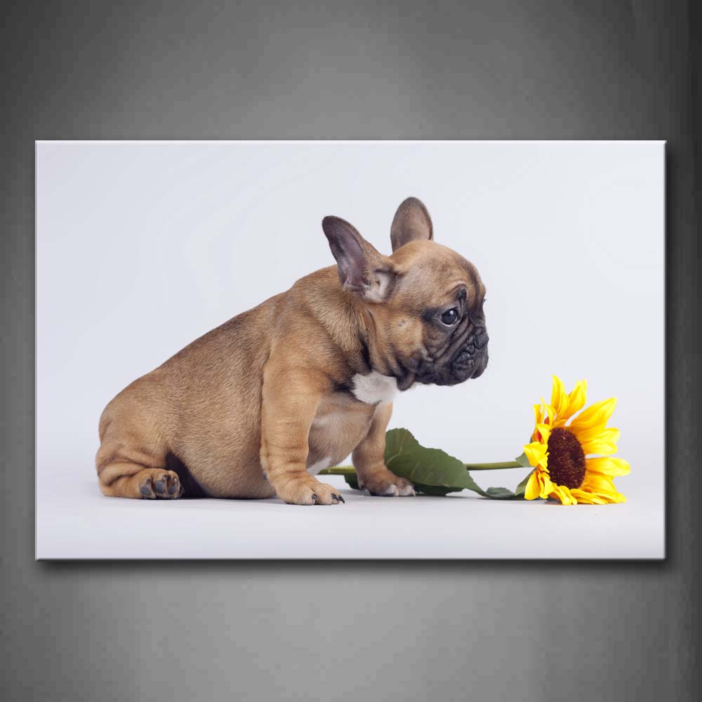 Dog Sit With A Yellow Flower Wall Art Painting Pictures Print On Canvas Animal The Picture For Home Modern Decoration 