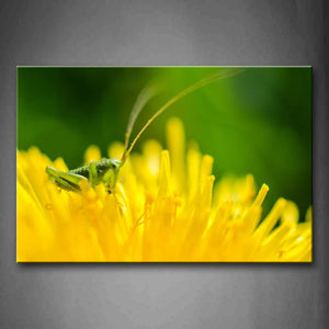 Grasshopper Stop On Yellow Flower Wall Art Painting Pictures Print On Canvas Animal The Picture For Home Modern Decoration 