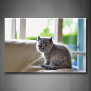 Gray Cat Sit On Blanket Wall Art Painting The Picture Print On Canvas Animal Pictures For Home Decor Decoration Gift 