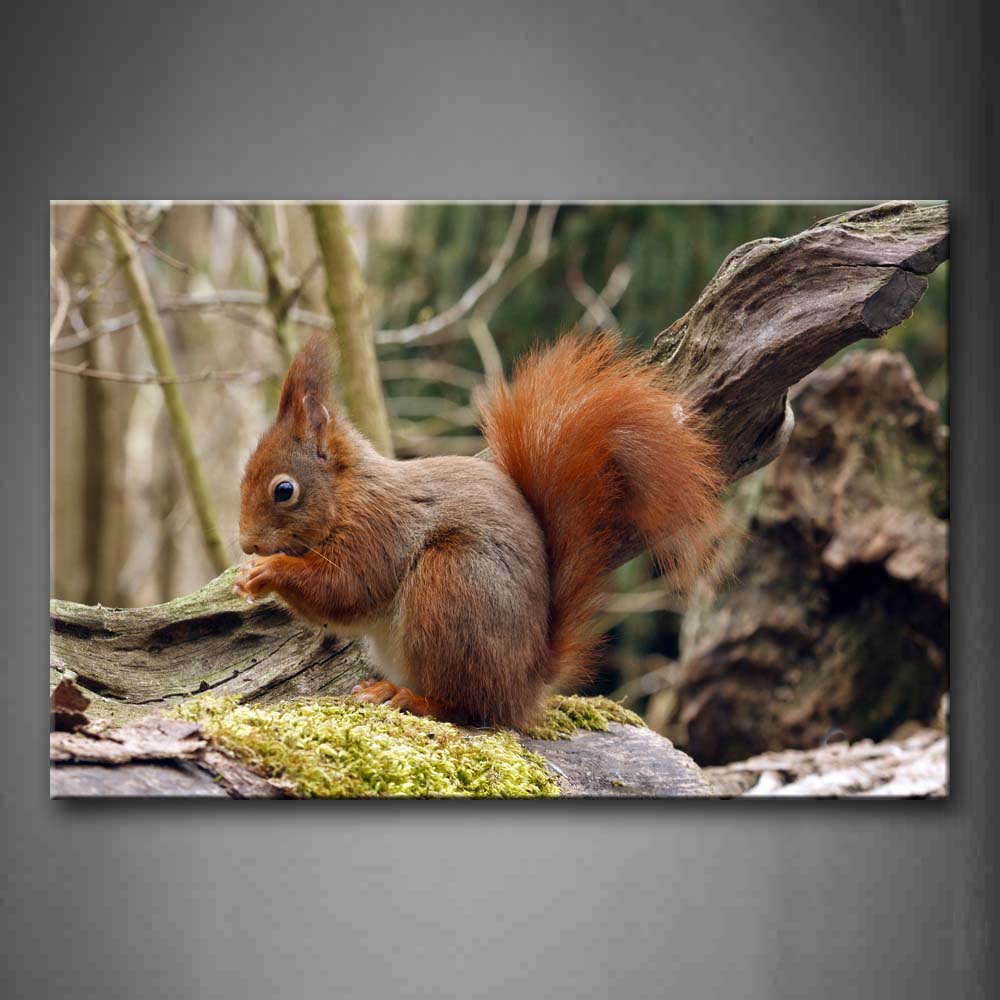 Squirrel Eat Food On Dry Wood Moss Wall Art Painting Pictures Print On Canvas Animal The Picture For Home Modern Decoration 