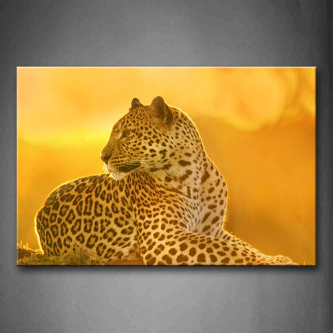 Yellow Orange Leopard Lie On Land  Wall Art Painting Pictures Print On Canvas Animal The Picture For Home Modern Decoration 