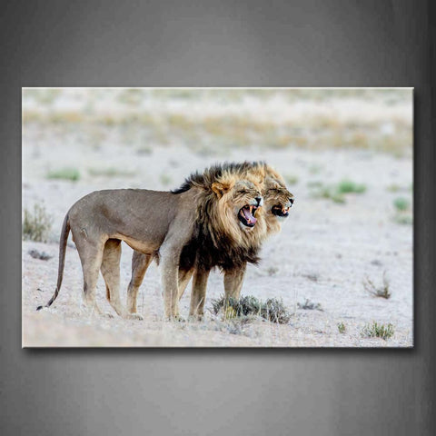 Two Lions Stand On Mud Land Open Mouth Wall Art Painting The Picture Print On Canvas Animal Pictures For Home Decor Decoration Gift 