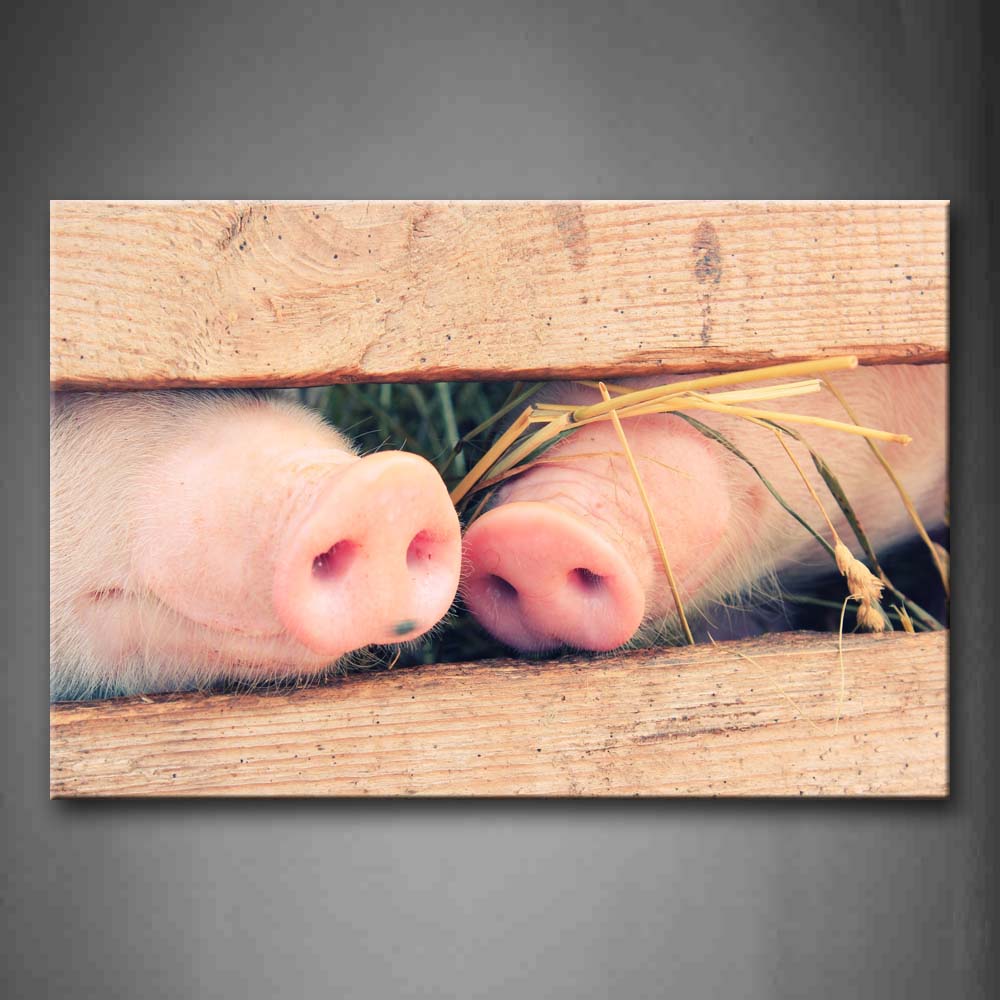 Two Pigs Hide In Fence Grass Wall Art Painting Pictures Print On Canvas Animal The Picture For Home Modern Decoration 