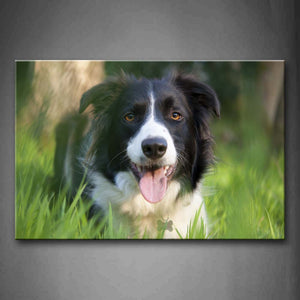 Border Collie Stand In Grass Tongue Wall Art Painting The Picture Print On Canvas Animal Pictures For Home Decor Decoration Gift 