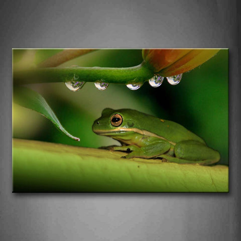 Green Frog Stop On Green Branch Drop Of Water Wall Art Painting The Picture Print On Canvas Animal Pictures For Home Decor Decoration Gift 