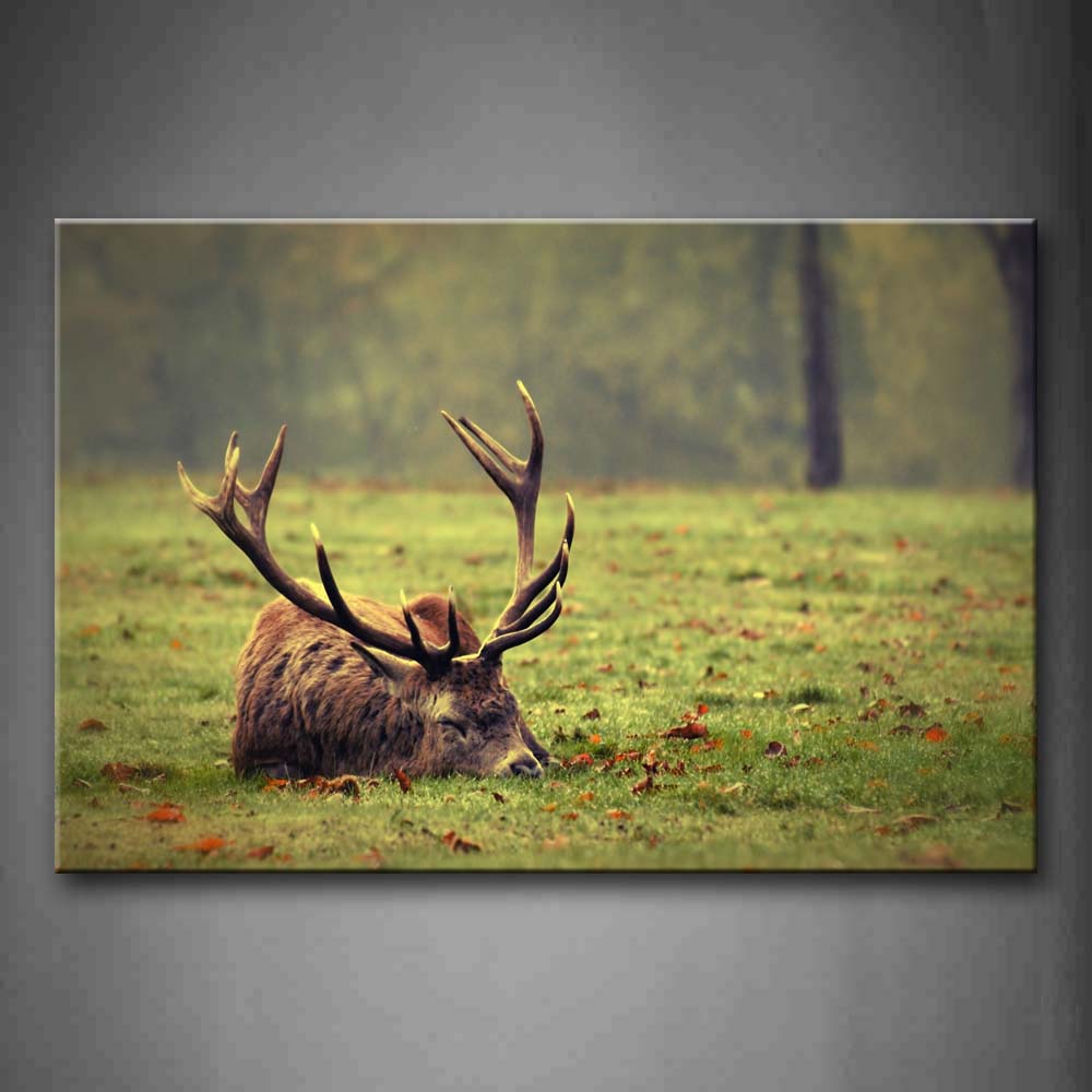 Deer Sleep On Grass Tree Fallen Leafs Wall Art Painting The Picture Print On Canvas Animal Pictures For Home Decor Decoration Gift 