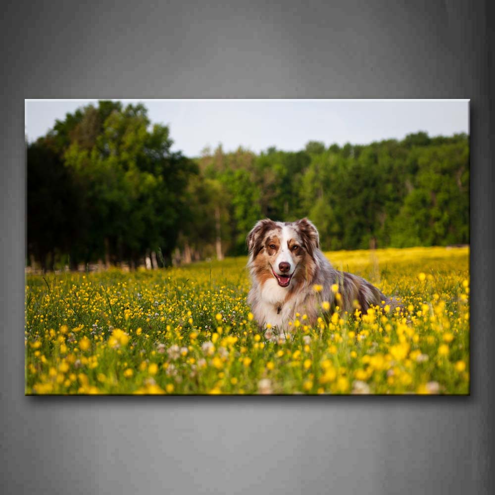 Dog Play In Yellow Flowers Trees Wall Art Painting The Picture Print On Canvas Animal Pictures For Home Decor Decoration Gift 