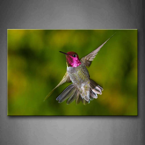 Hummingbird Is Flying Wall Art Painting Pictures Print On Canvas Animal The Picture For Home Modern Decoration 