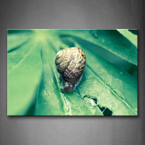 Snail Crawl On Green Leaf Wall Art Painting Pictures Print On Canvas Animal The Picture For Home Modern Decoration 