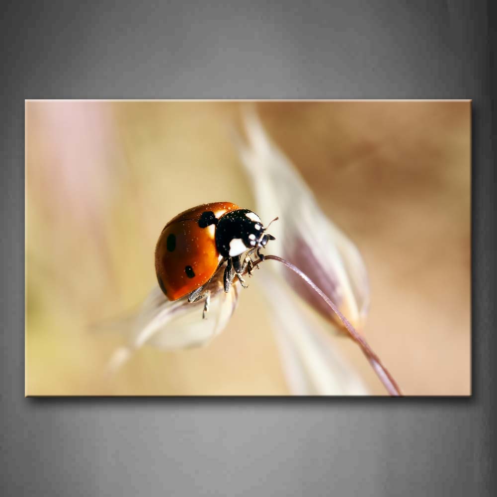 Ladybug Crawl On Gray Plant Wall Art Painting Pictures Print On Canvas Animal The Picture For Home Modern Decoration 