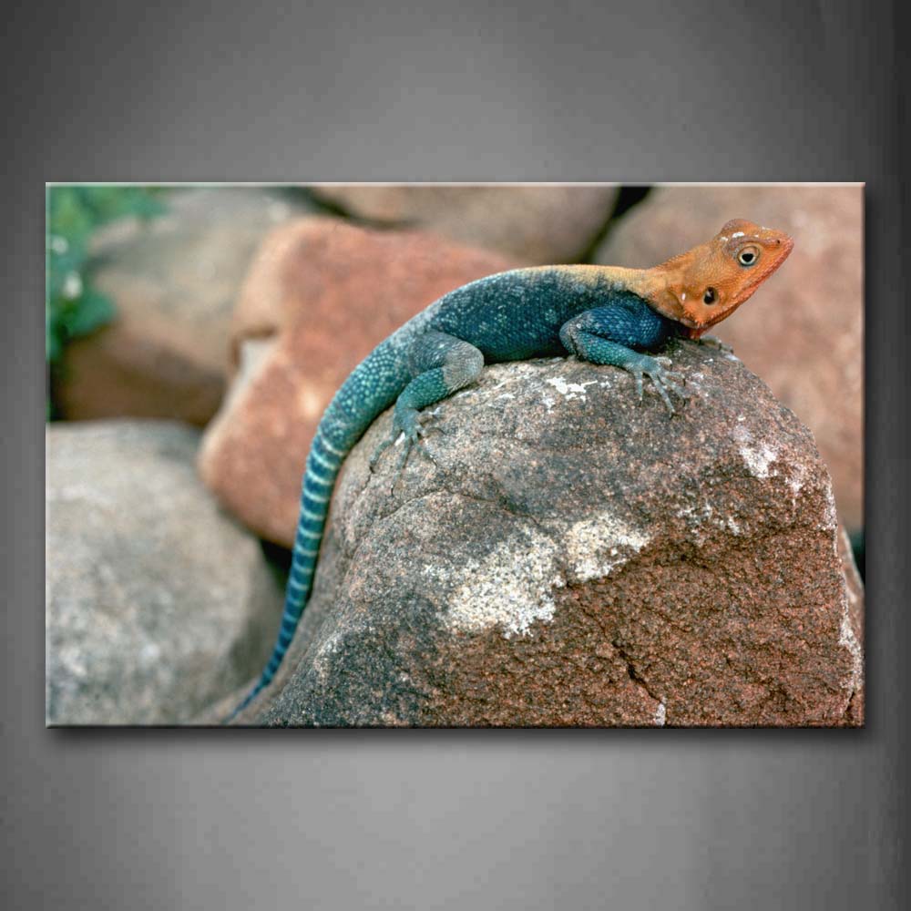 Lizard Crawl On Rock Wall Art Painting The Picture Print On Canvas Animal Pictures For Home Decor Decoration Gift 