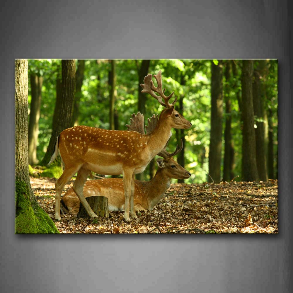 Two Deer In Forest Fallen Leafs Wall Art Painting Pictures Print On Canvas Animal The Picture For Home Modern Decoration 