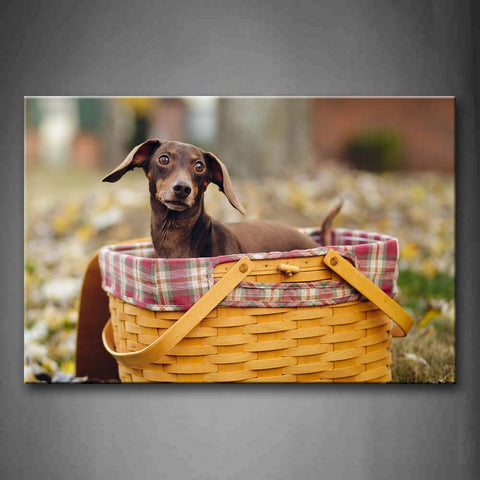 Brown Dog In Basket Grass Fallen Leafs Wall Art Painting The Picture Print On Canvas Animal Pictures For Home Decor Decoration Gift 