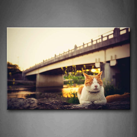 Two Cats Lie On Land Under A Bridge Wall Art Painting Pictures Print On Canvas Animal The Picture For Home Modern Decoration 