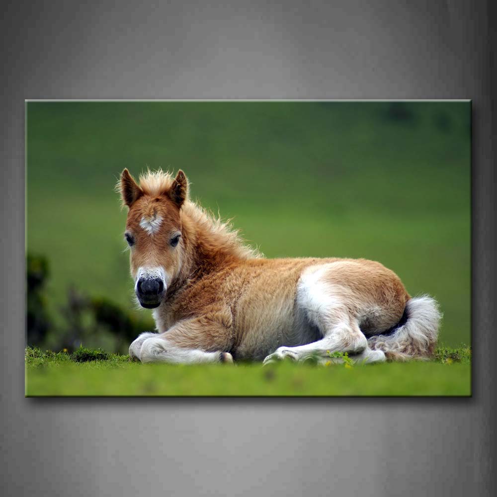 Yellow And White Horse Lie On Grass Wall Art Painting The Picture Print On Canvas Animal Pictures For Home Decor Decoration Gift 