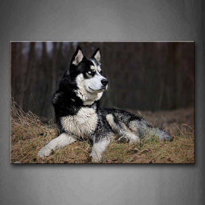 Black And White Dog Lie On Dry Grass Forest Wall Art Painting Pictures Print On Canvas Animal The Picture For Home Modern Decoration 