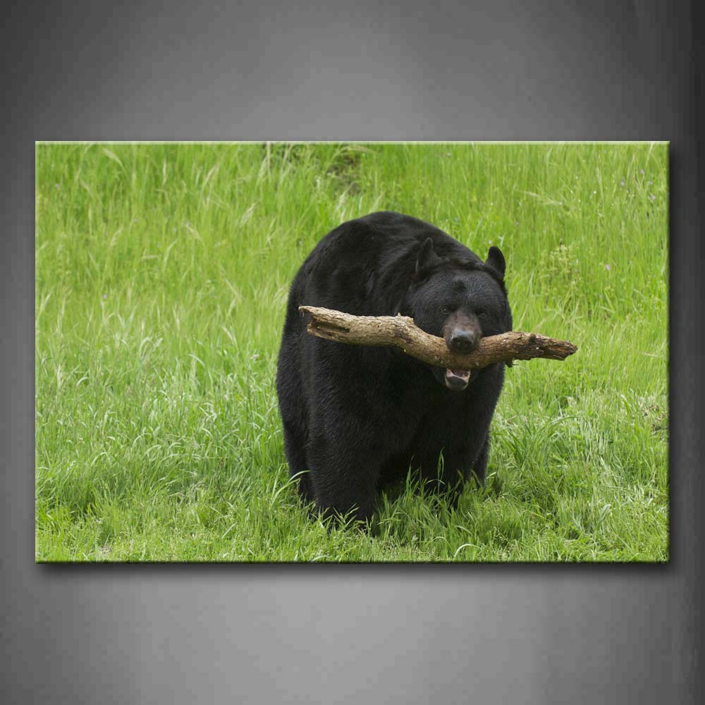 Black Bear Bite A Wood On Grassland Wall Art Painting Pictures Print On Canvas Animal The Picture For Home Modern Decoration 