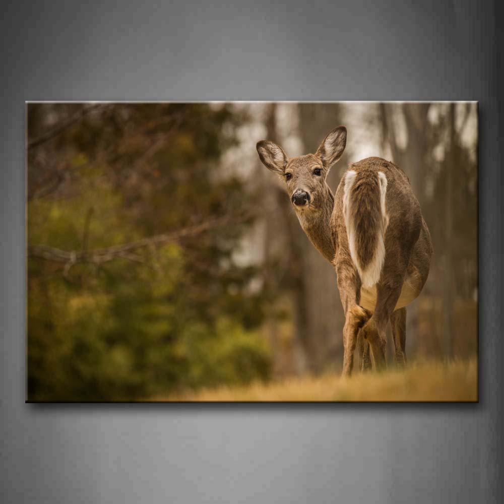 Yellow Deer Stand On Grass And Look Back Wall Art Painting Pictures Print On Canvas Animal The Picture For Home Modern Decoration 