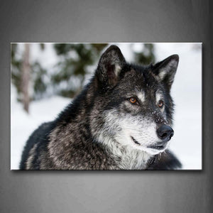 Wolf Lie On Snowfield Wall Art Painting The Picture Print On Canvas Animal Pictures For Home Decor Decoration Gift 