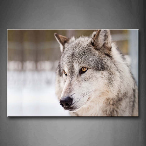 Gray Wolf Portrait Wall Art Painting Pictures Print On Canvas Animal The Picture For Home Modern Decoration 