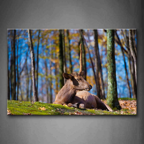 Deer Lie On Land In Forest Moss Fallen Leafs Wall Art Painting The Picture Print On Canvas Animal Pictures For Home Decor Decoration Gift 