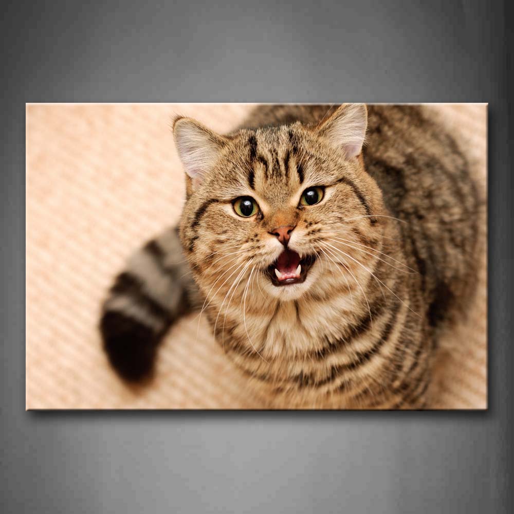 Cat Look Up And Open Mouth Wall Art Painting Pictures Print On Canvas Animal The Picture For Home Modern Decoration 