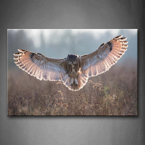 Owl Fly Over Grass Wall Art Painting The Picture Print On Canvas Animal Pictures For Home Decor Decoration Gift 