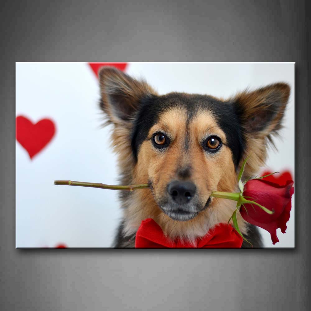 Dog Bite A Piece Of Rose Heat Wall Art Painting The Picture Print On Canvas Animal Pictures For Home Decor Decoration Gift 