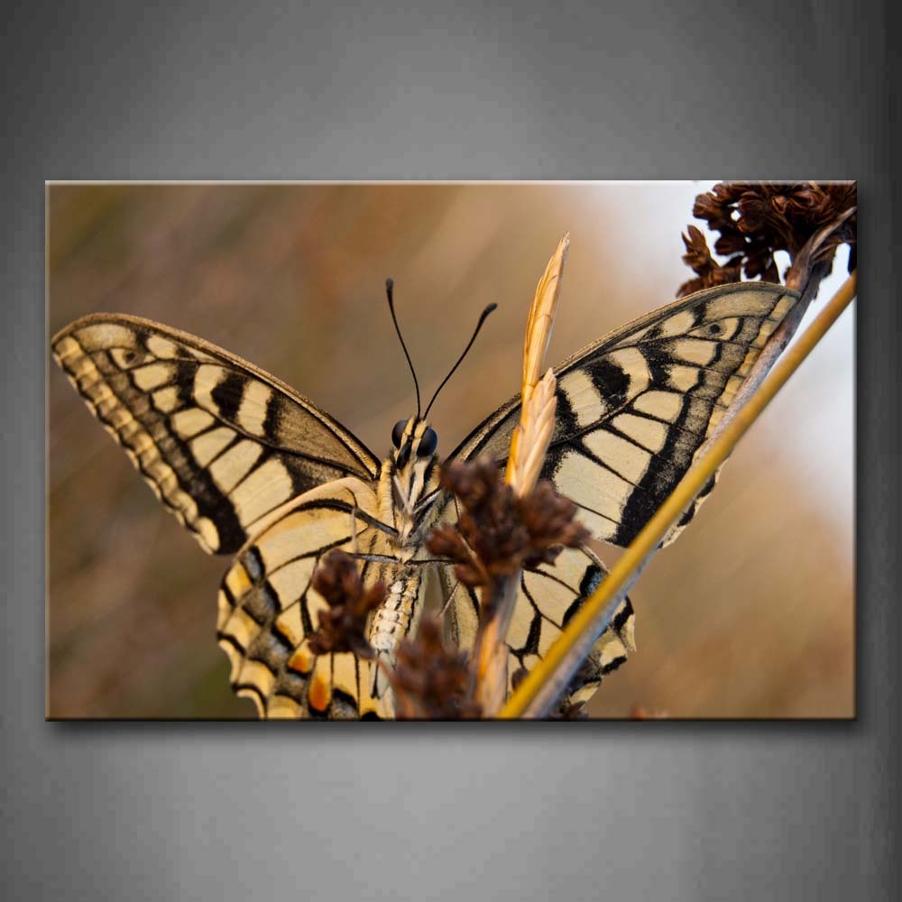 Black And Yellow Butterfly Stop On Brown Plant Wall Art Painting Pictures Print On Canvas Animal The Picture For Home Modern Decoration 