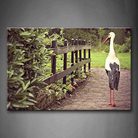 Bird Walk On Road Fence Lawn Tree Wall Art Painting Pictures Print On Canvas Animal The Picture For Home Modern Decoration 