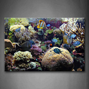 The Bottom Of Sea Scenery Colorful Fishs Beautiful Wall Art Painting The Picture Print On Canvas Animal Pictures For Home Decor Decoration Gift 