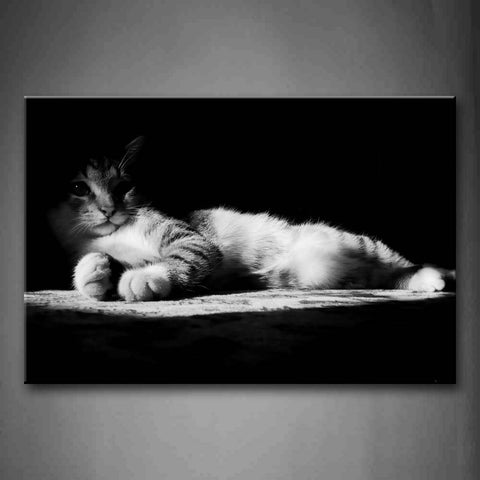 Black And White Cat Lie On Carpet On A Dark Wall Art Painting Pictures Print On Canvas Animal The Picture For Home Modern Decoration 