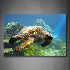 Turtle Swimming In Bottom Of Sea Wall Art Painting The Picture Print On Canvas Animal Pictures For Home Decor Decoration Gift 